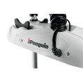 Электромотор HAIBO IPENGUIN P65 GPS 12V 72" в 